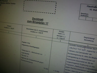 antragspapier der grünen im haushaltsausschuss